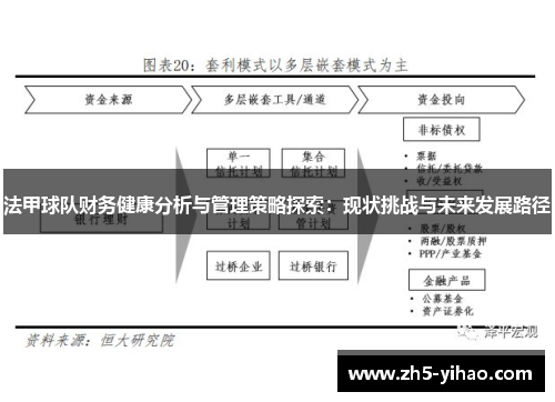 法甲球队财务健康分析与管理策略探索：现状挑战与未来发展路径