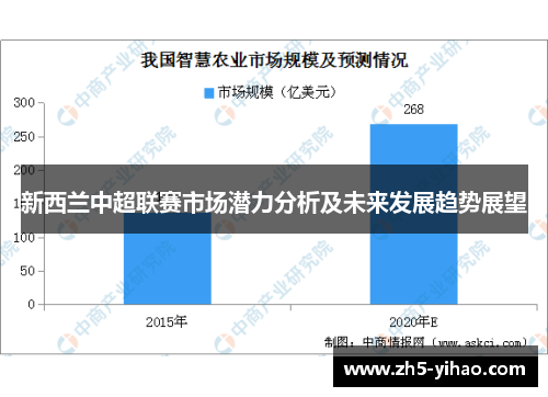 新西兰中超联赛市场潜力分析及未来发展趋势展望