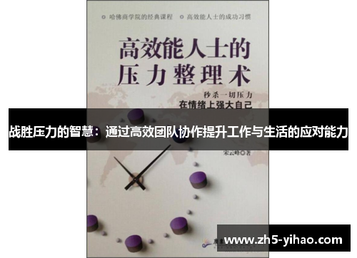战胜压力的智慧：通过高效团队协作提升工作与生活的应对能力